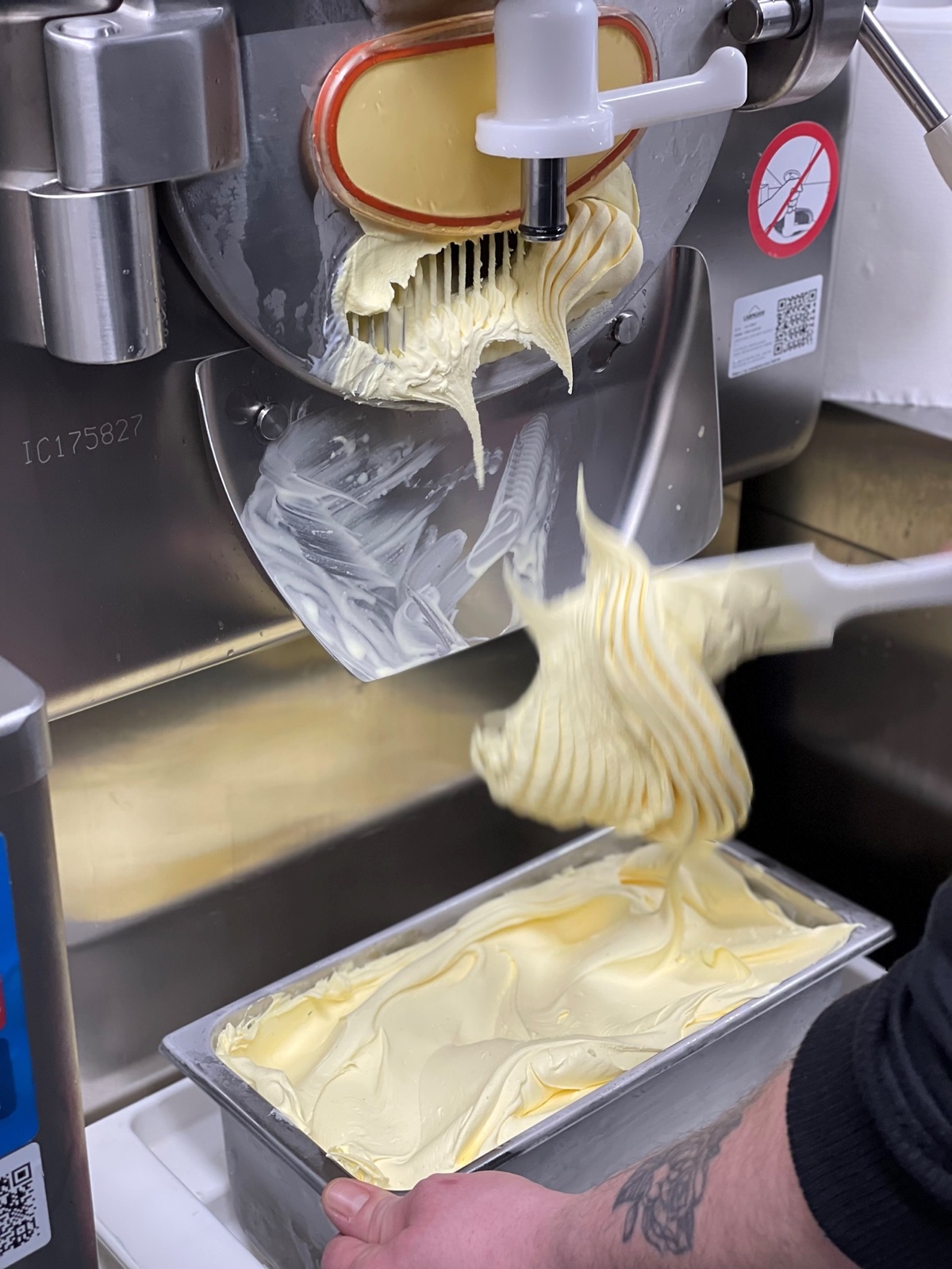Schlotzeria Eismanufaktur — frisches Vanille-Eis wird aus der Maschine in den Edelstahlbehälter gefüllt
